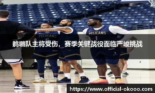 鹈鹕队主将受伤，赛季关键战役面临严峻挑战